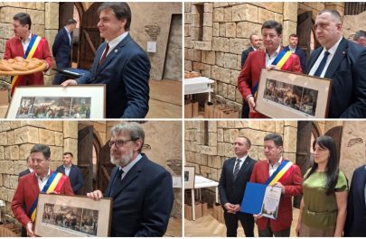 distincții zilele județului arad muzeu
