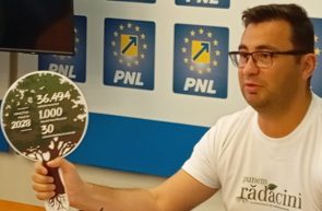 punem rădăcini