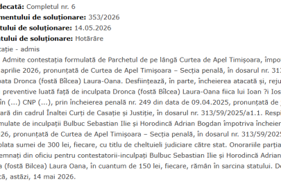 iccj laura dronca