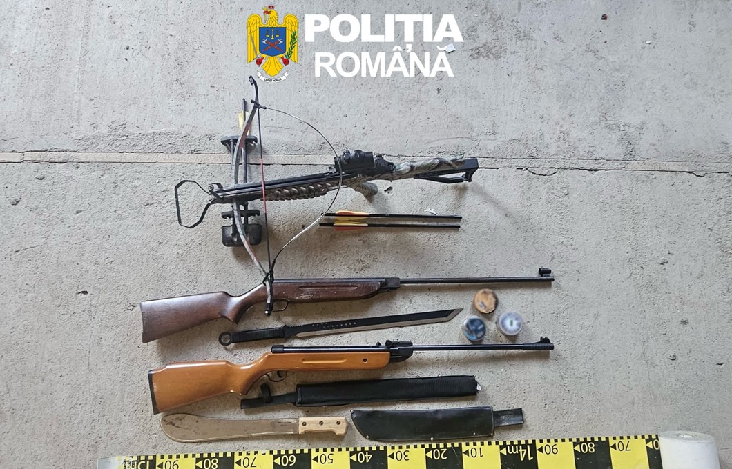 percheziții Chișineu-Criș