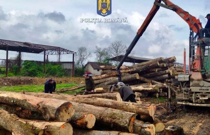 Aradul, în centrul Operațiunii „JUPITER”. Percheziții la depozite de lemn, la firme și la un ocol silvic