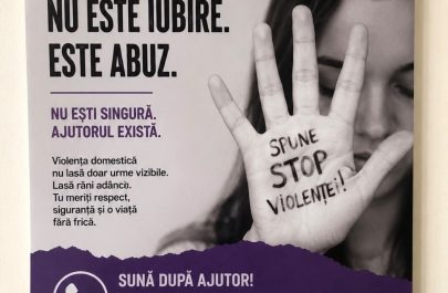 program protocol combatere violență domestică usr arad
