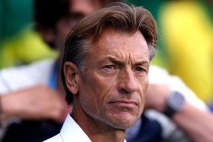 renard