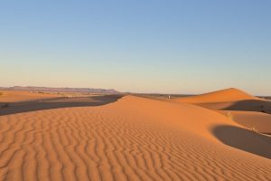 sahara