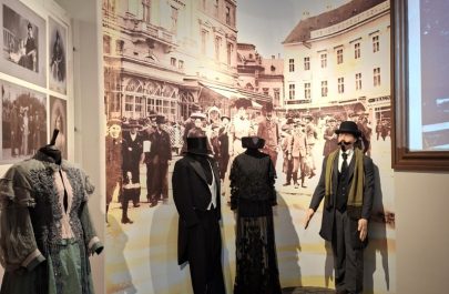 secția de istorie (15)