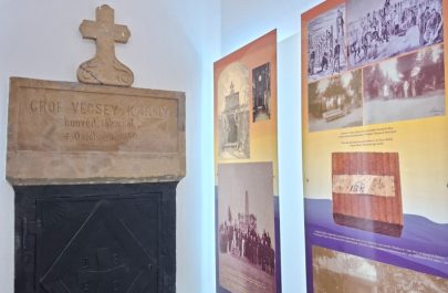 secția de istorie (16)