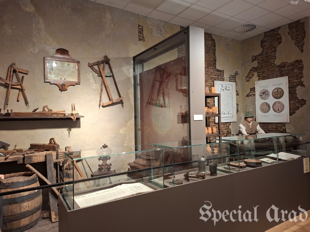 sectia de istorie 5