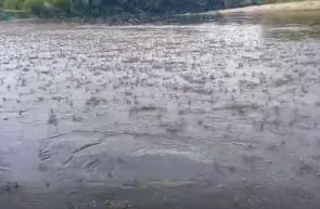 efemeride lunca mureșului