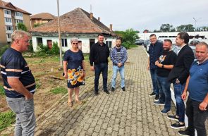 Ineu ăngrijiri paliative