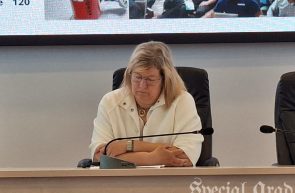 proiect medic Eszter Anna Csókási
