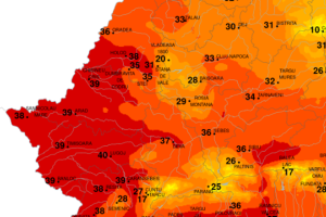 39 grade Celsius
