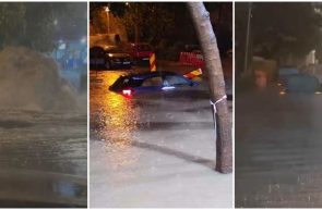 furtuna bucurești