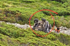 accident muntele gaina aradean