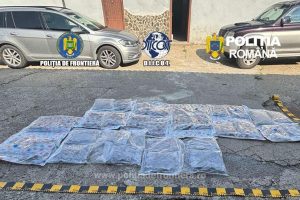 canabis 38 arestat