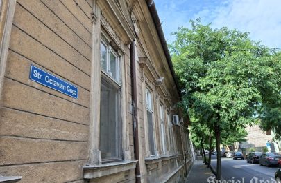 strada octavian goga arad