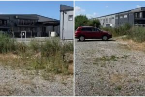 fabrică nouă ineu germania limoss