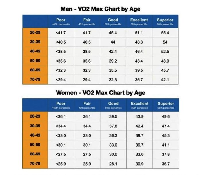 vo2 max