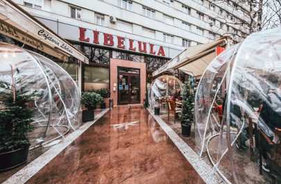 Libelula