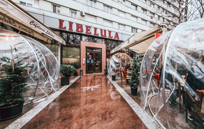 LIBELULA