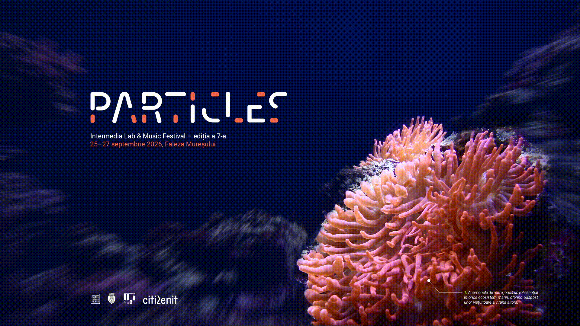 Cover Event Particles 7 Video.gif