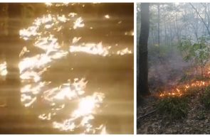 Incendiu la Stejar - comuna Vărădia de Mureș. unii săteni, chemați să ajute, au preferat birtul