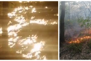 Incendiu la Stejar - comuna Vărădia de Mureș. unii săteni, chemați să ajute, au preferat birtul