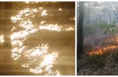 Incendiu la Stejar - comuna Vărădia de Mureș: viceprimarul și pompierii luptau cu flăcările, în timp ce unii săteni, chemați să ajute, au preferat birtul