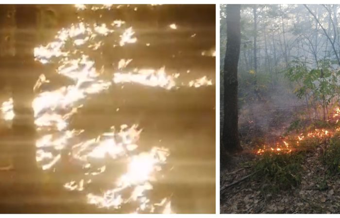 Incendiu la Stejar - comuna Vărădia de Mureș: viceprimarul și pompierii luptau cu flăcările, în timp ce unii săteni, chemați să ajute, au preferat birtul