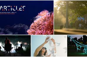 Particles 7