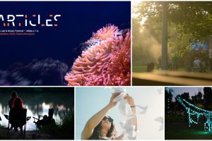 Particles 7