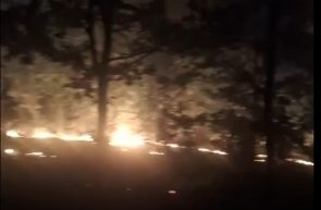 Pompierii au stins luni seara un incendiu de vegetație uscată în apropierea localității Căpâlnaș