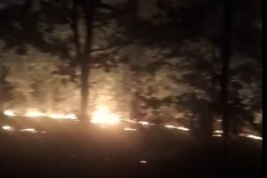 Pompierii au stins luni seara un incendiu de vegetație uscată în apropierea localității Căpâlnaș