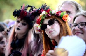 Sziget 2026, continuarea