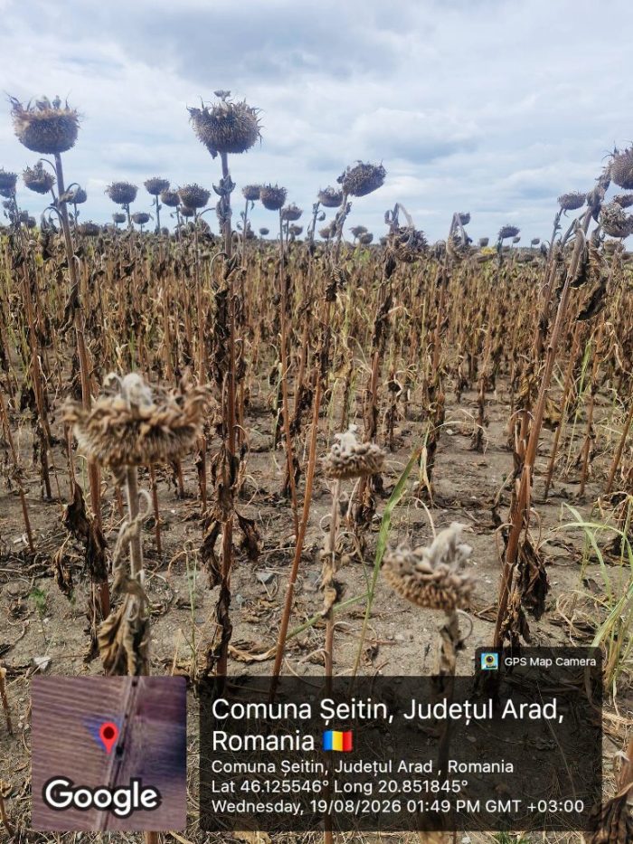 agricultura seceta seintin 2