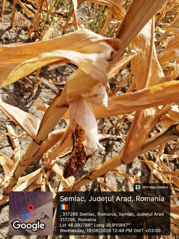 agricultura seceta semlac 2