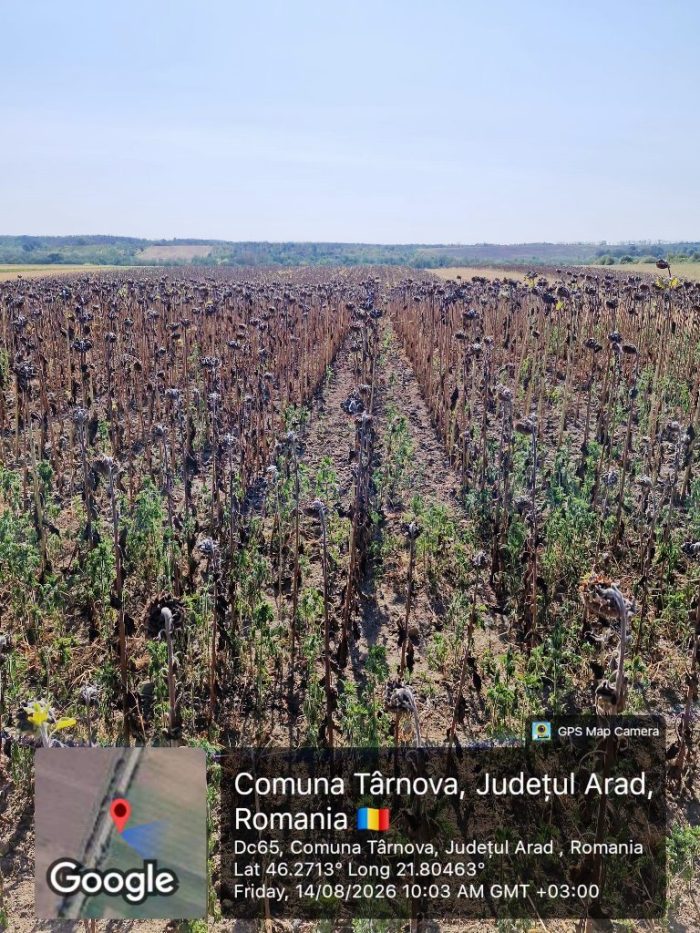 agricultura seceta tarnova