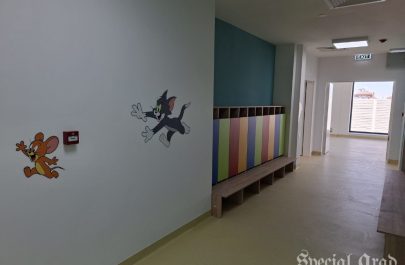 creșă nouă fântânele (4)