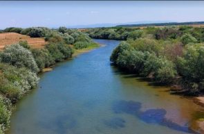 Crișul negru canicula