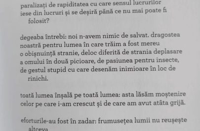 dan coman Lipsa de greutate a lumii poezie
