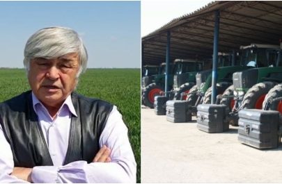 dimitrie musca
