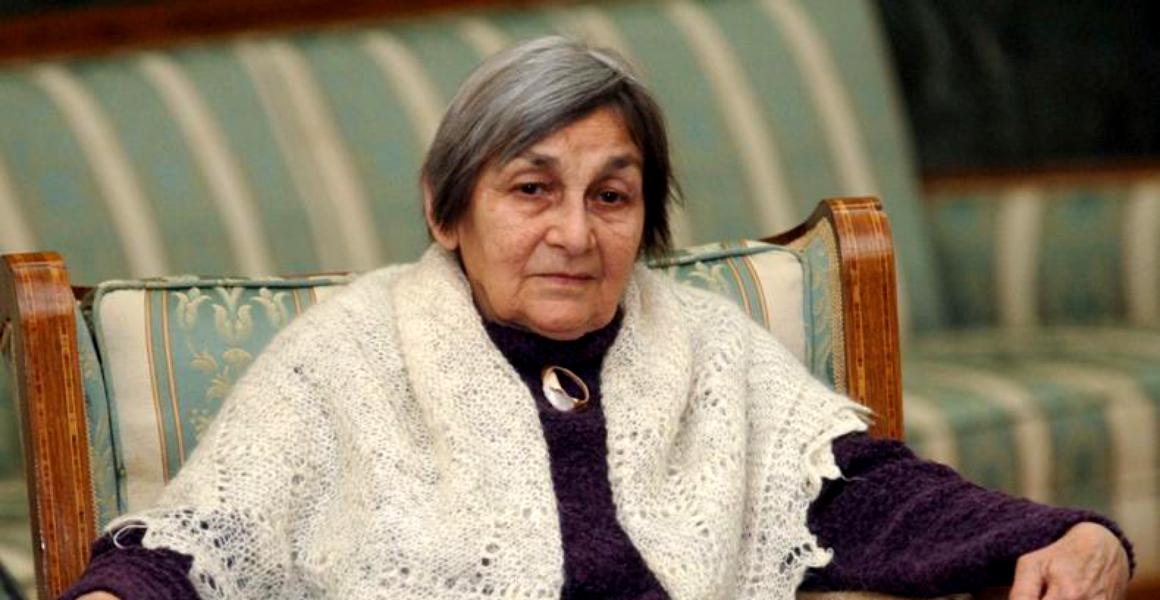 doina cornea