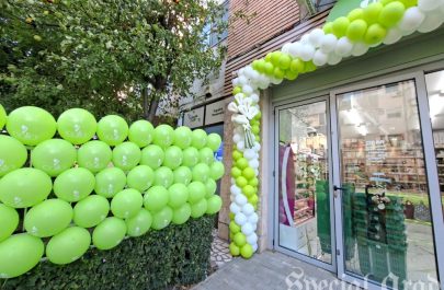 inaugurare calla alfa (1)