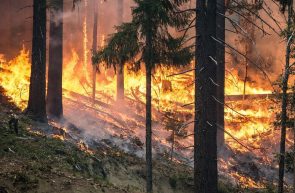 incendii