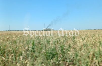 incendiu duminica groapa de gunoi (3)