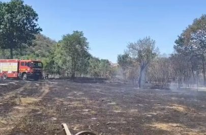 incendiu sebiș vegetație