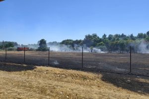 incendiu sebiș