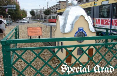 macheta și placa originală podgoria săgeata verde