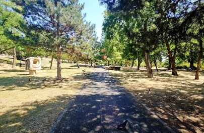 malul muresului cea mai frumoasa zona