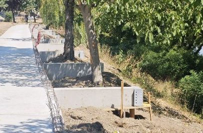 malul muresului copaci salvati