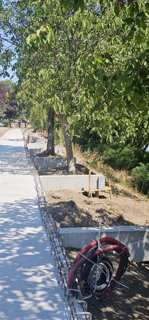 malul muresului copaci salvati